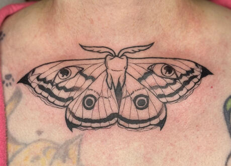 Tooth Moth - 07/26/25