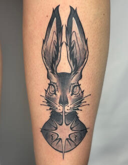 Rabbit - 05/04/25