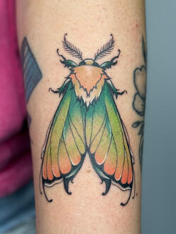 Moth - 07/17/25